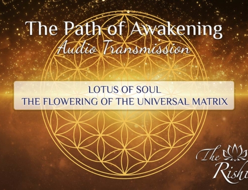 Lotus of Soul – The Flowering of the Universal Matrix