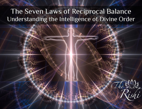 The Seven Laws of Reciprocal Balance